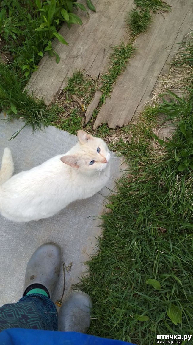 ���� 2: �������, ����� ������ ������ ����.