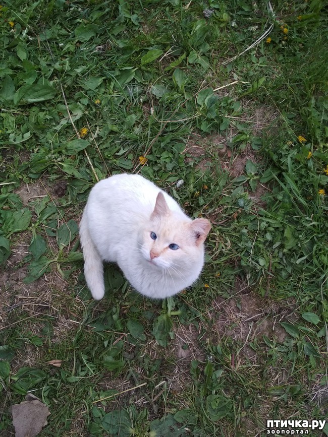 ���� 3: �������, ����� ������ ������ ����.