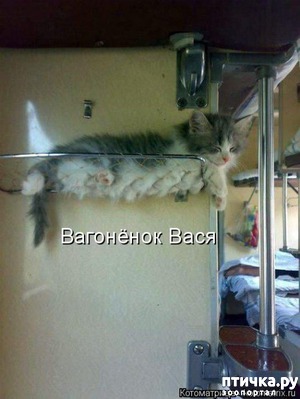 ����: ����������� 3