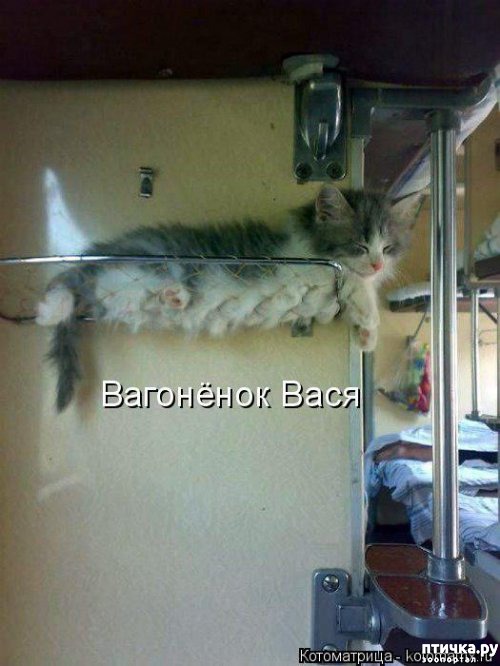 ���� 1: ����������� 3