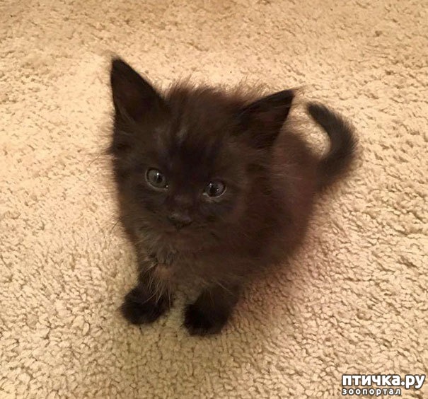 ���� 13: ���� ������. ��������������: ���� ���� ��������� ���������� ���������.