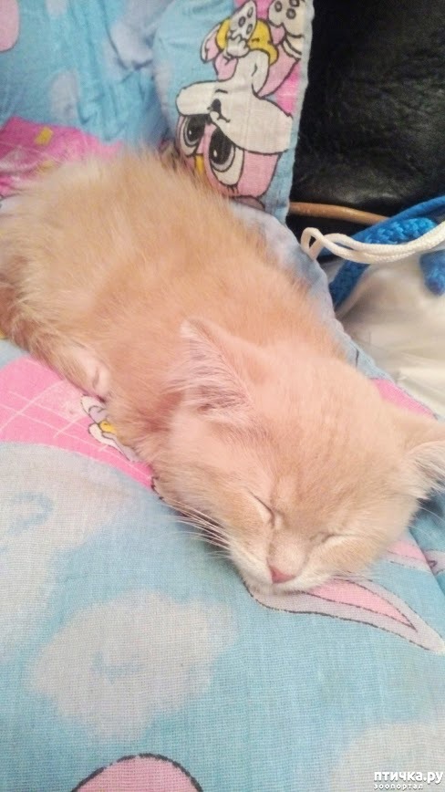 ���� 3: ������ ����