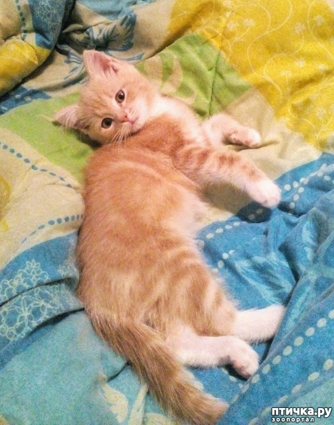 ���� 2: ������ ����