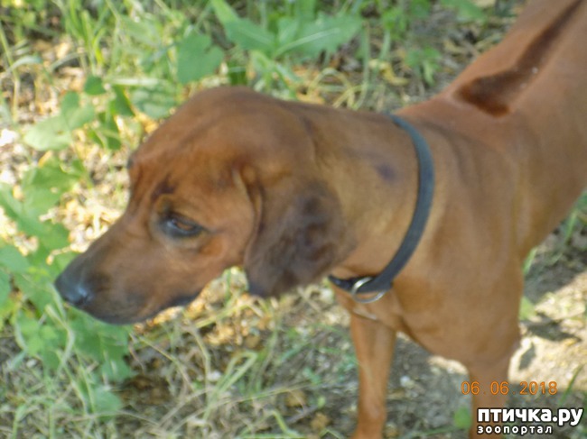 ���� 2: ���� - ��� ��������� �����...