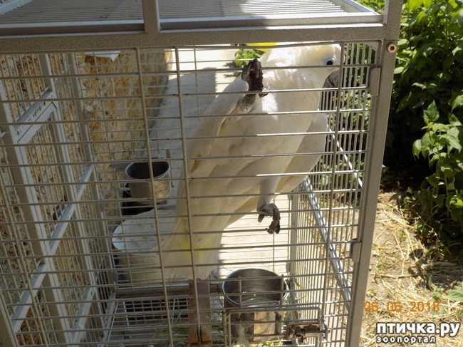 ���� 5: ���� - ��� ��������� �����...