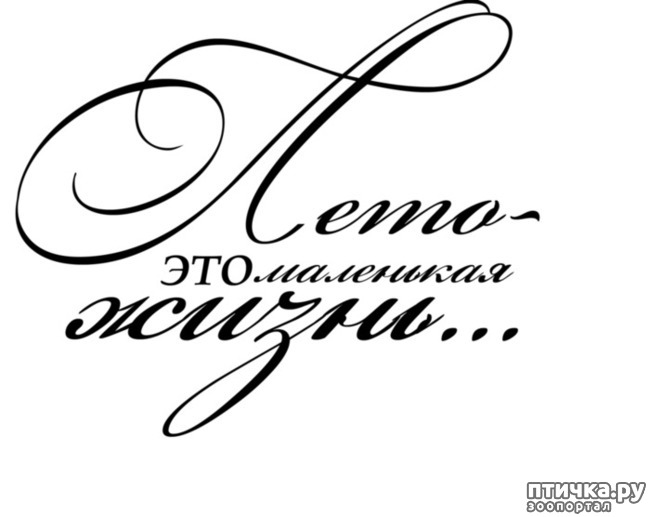 ���� 1: ���� - ��� ��������� �����...