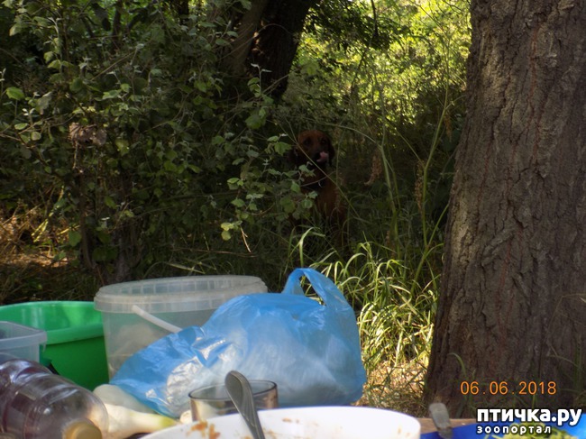 ���� 10: ���� - ��� ��������� �����...