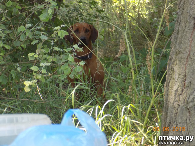 ���� 11: ���� - ��� ��������� �����...