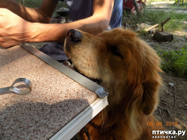 ���� 13: ���� - ��� ��������� �����...