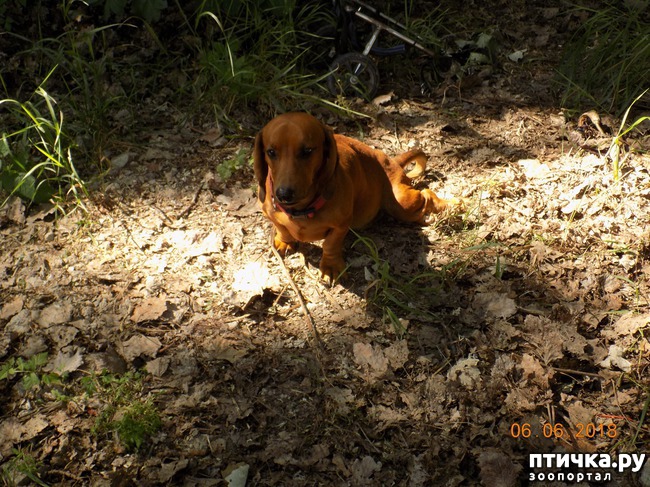 ���� 14: ���� - ��� ��������� �����...