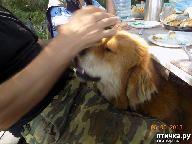 ���� 16: ���� - ��� ��������� �����...