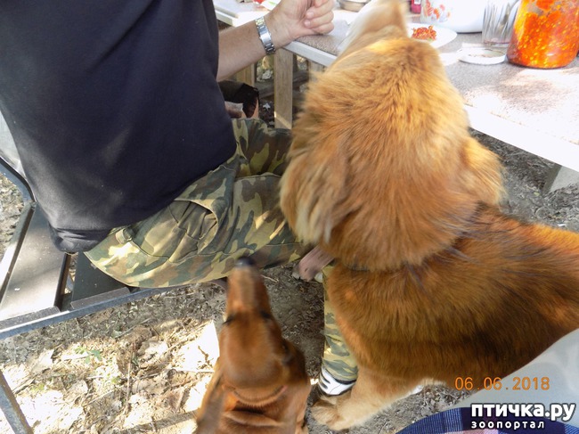 ���� 17: ���� - ��� ��������� �����...