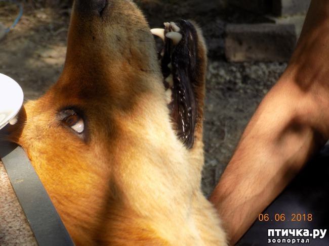 ���� 18: ���� - ��� ��������� �����...