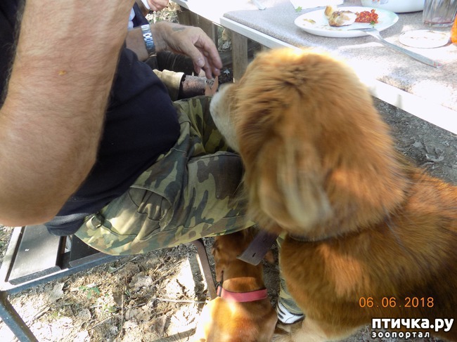 ���� 19: ���� - ��� ��������� �����...