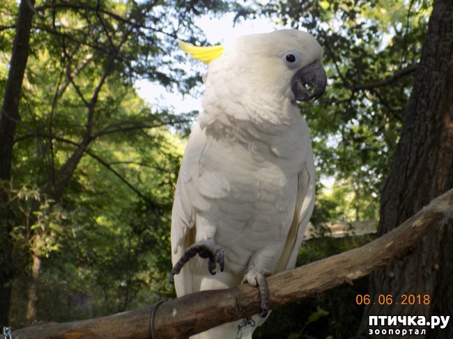 ���� 20: ���� - ��� ��������� �����...