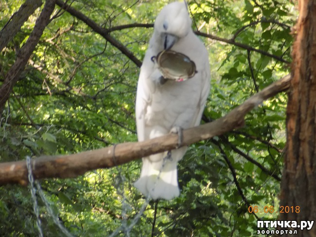 ���� 22: ���� - ��� ��������� �����...