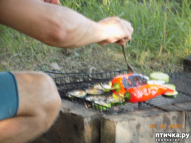 ���� 24: ���� - ��� ��������� �����...