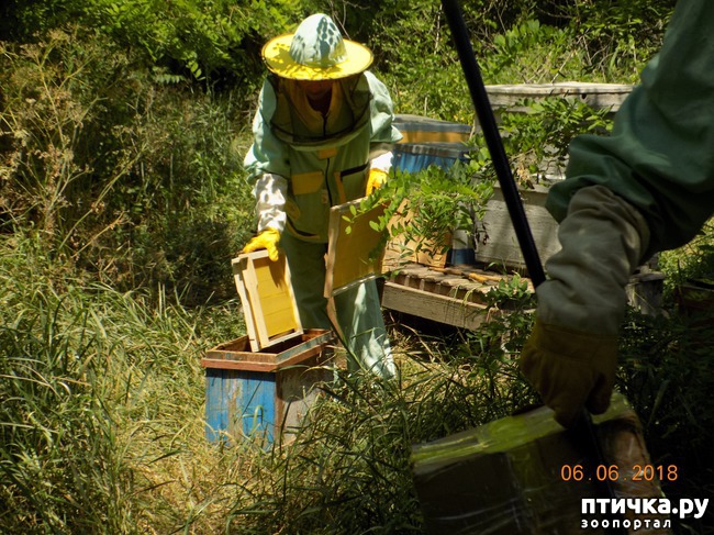 ���� 25: ���� - ��� ��������� �����...