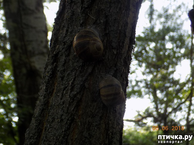 ���� 26: ���� - ��� ��������� �����...