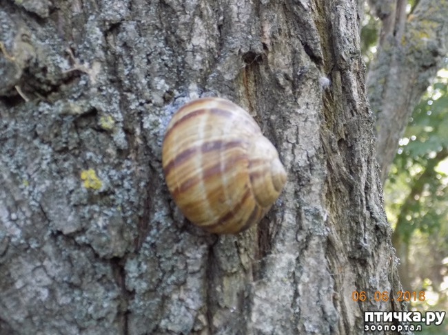 ���� 27: ���� - ��� ��������� �����...