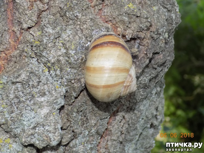 ���� 28: ���� - ��� ��������� �����...