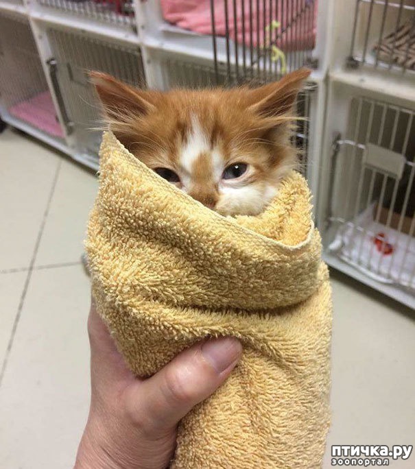 ���� 6: ���� ������. ��������������: ���� ���� ��������� ���������� ���������.