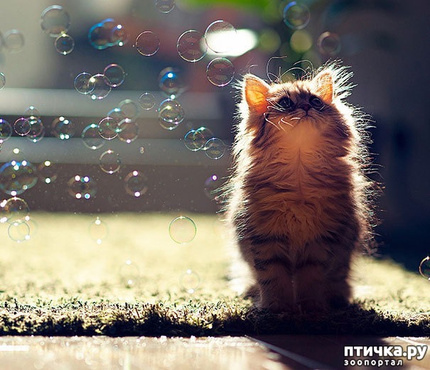 ���� 7: ���� ������. ��������������: ���� ���� ��������� ���������� ���������.