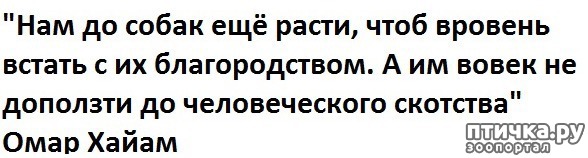 ���� 1: ����� ���� ���������