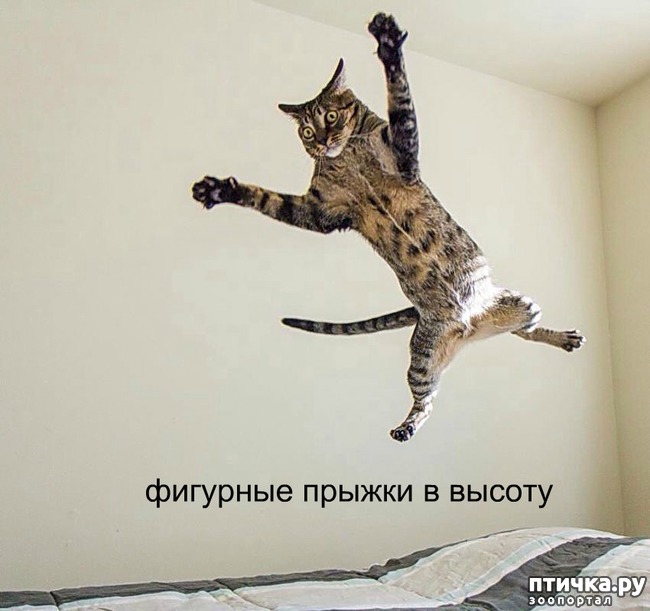 ���� 4: ����������� 4 ���� �������� ������ �����������