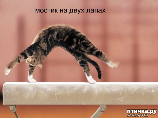 ���� 5: ����������� 4 ���� �������� ������ �����������