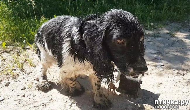 ���� 2: ����� ���� ���������