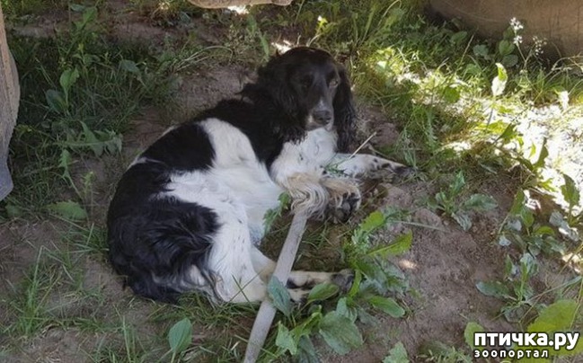 ���� 3: ����� ���� ���������