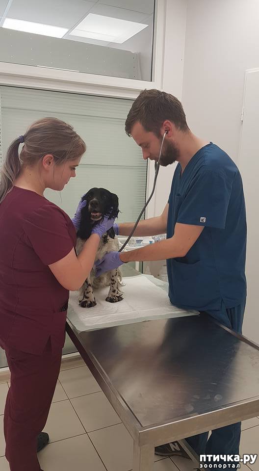 ���� 4: ����� ���� ���������