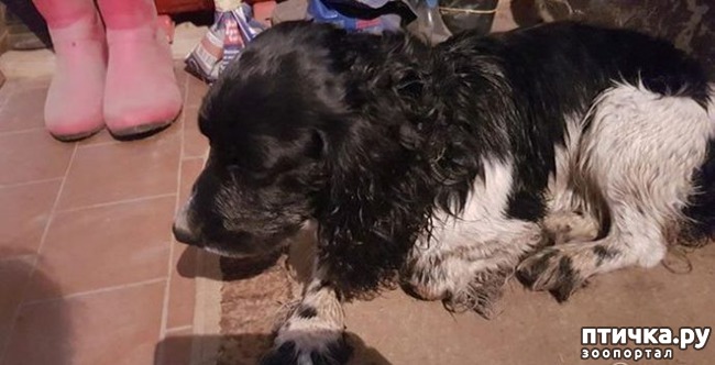 ���� 5: ����� ���� ���������