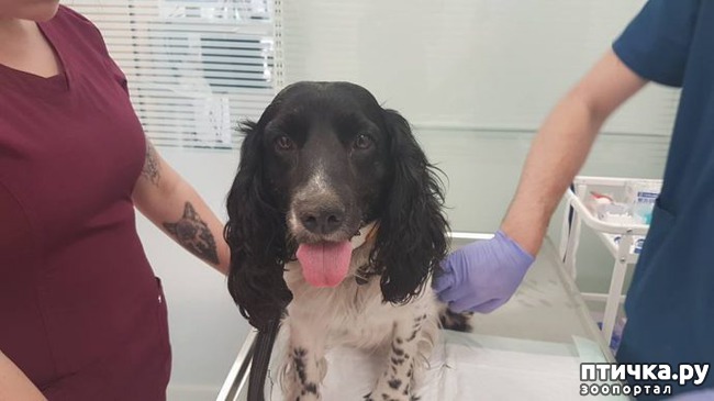 ���� 6: ����� ���� ���������