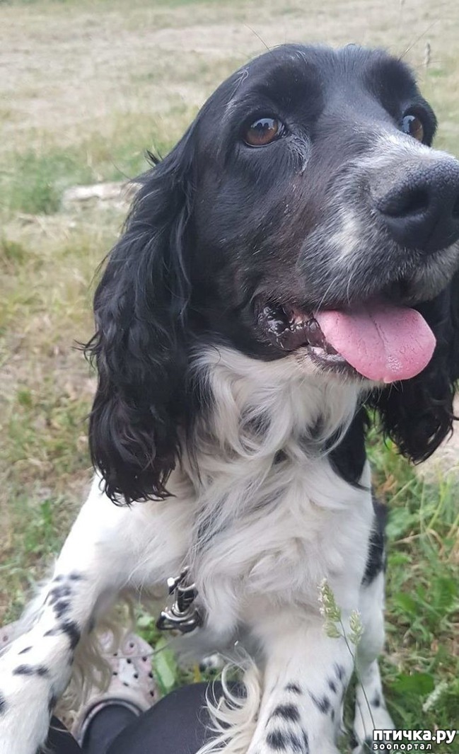 ���� 7: ����� ���� ���������