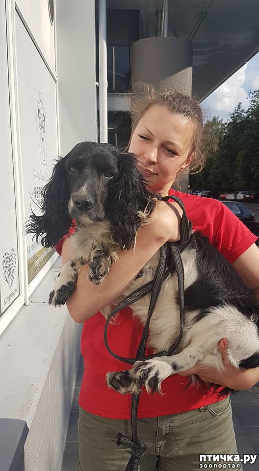 ���� 8: ����� ���� ���������