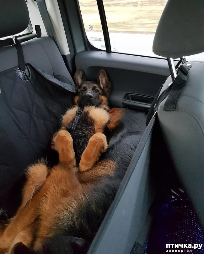 ���� 2: ��, �� ��� ������, ��, �� ��� ���������!