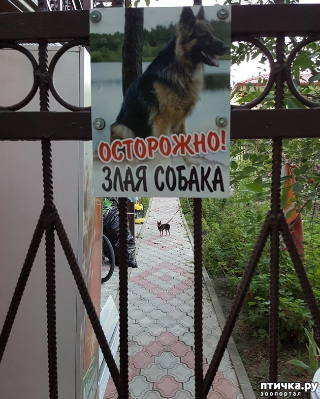 ���� 4: ��, �� ��� ������, ��, �� ��� ���������!