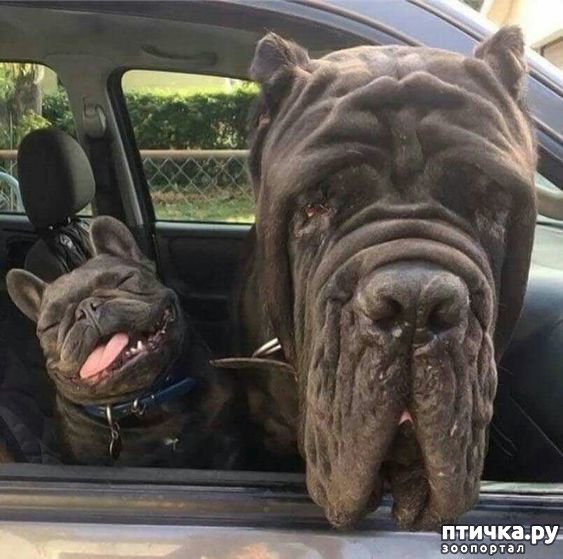 ���� 5: ��, �� ��� ������, ��, �� ��� ���������!