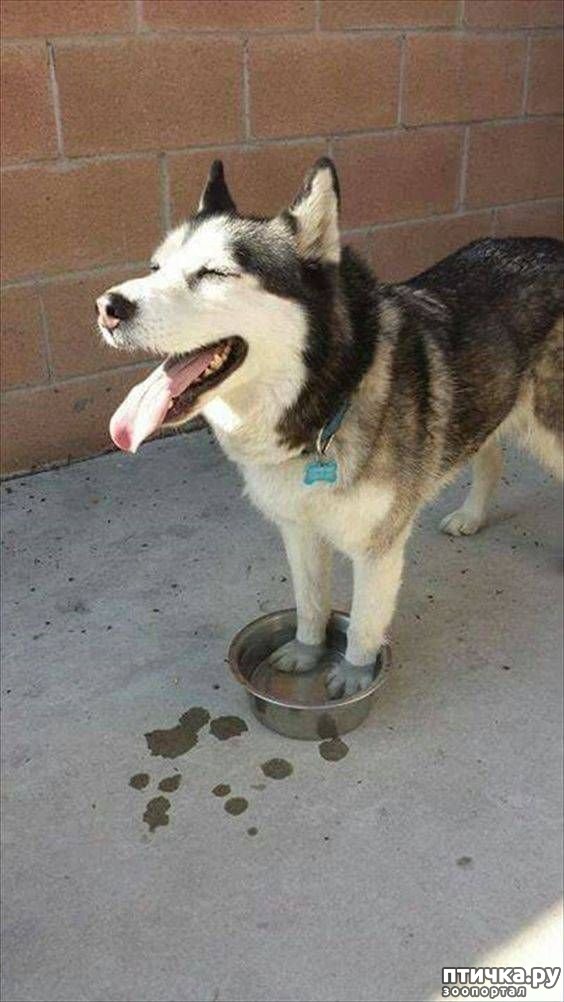 ���� 6: ��, �� ��� ������, ��, �� ��� ���������!