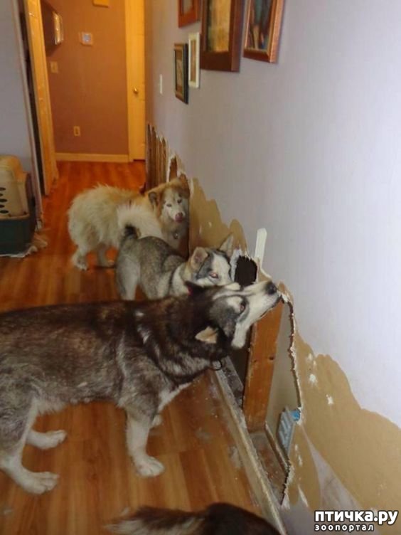 ���� 7: ��, �� ��� ������, ��, �� ��� ���������!