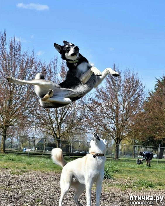 ���� 8: ��, �� ��� ������, ��, �� ��� ���������!