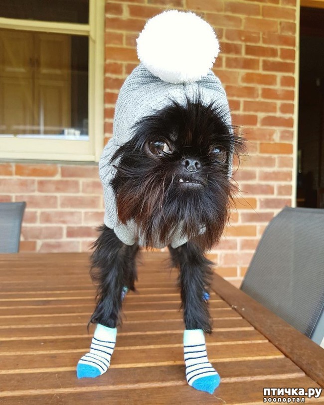 ���� 10: ��, �� ��� ������, ��, �� ��� ���������!