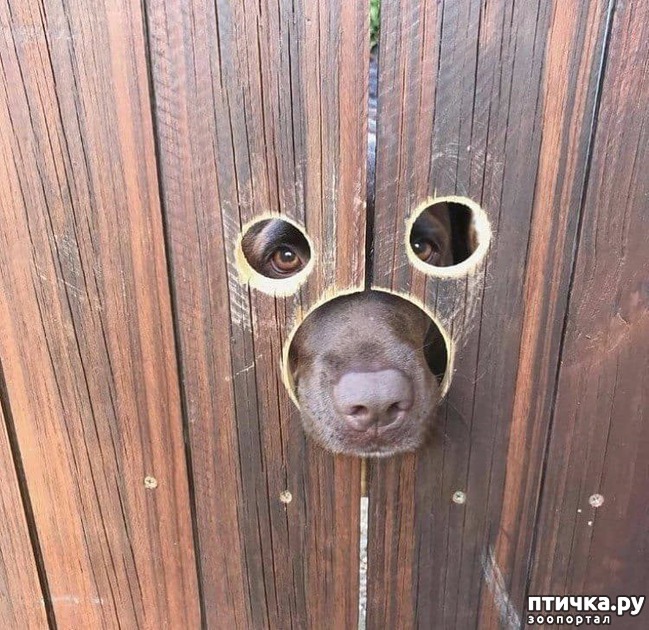 ���� 11: ��, �� ��� ������, ��, �� ��� ���������!