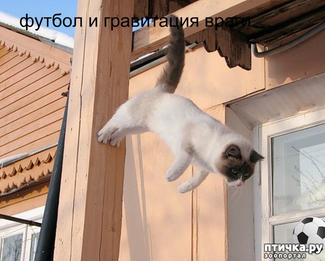 ���� 4: ����������� �������������