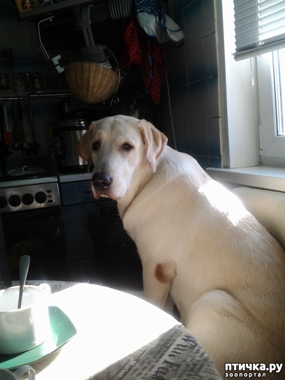 ���� 1: ����� ������� ���� ����...