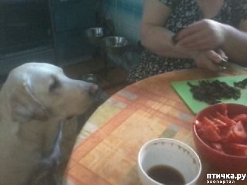 ���� 2: ����� ������� ���� ����...