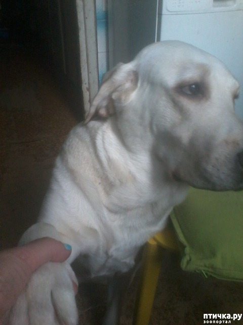 ���� 3: ����� ������� ���� ����...