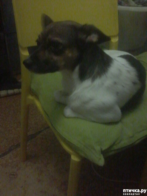 ���� 4: ����� ������� ���� ����...